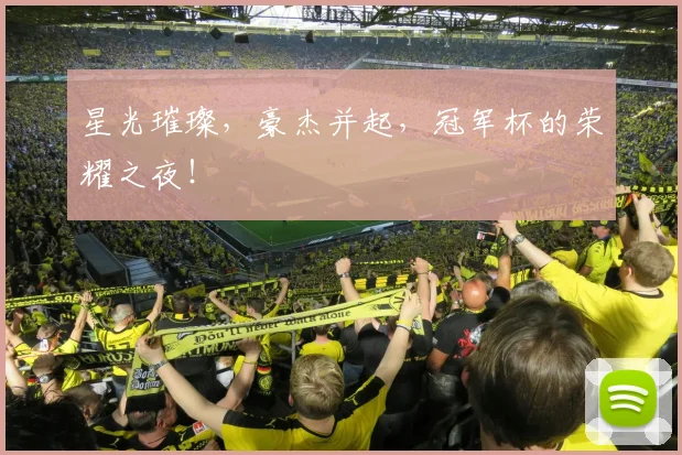 星光璀璨，豪杰并起，冠军杯的荣耀之夜！