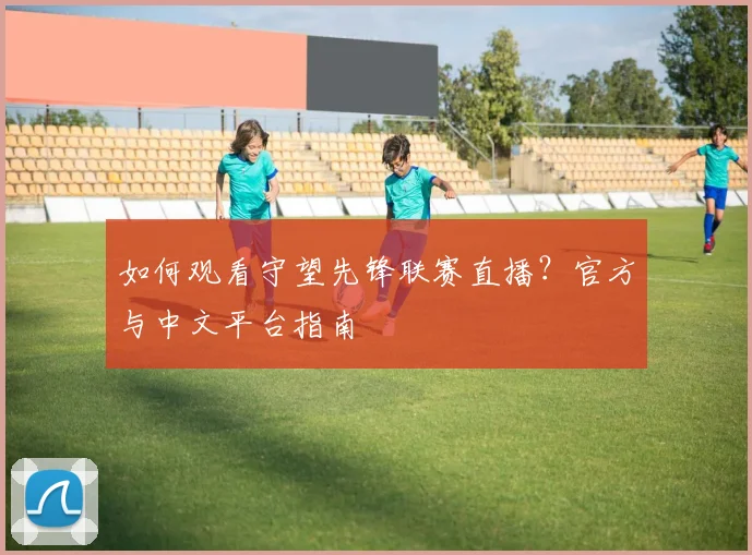 如何观看守望先锋联赛直播?官方与中文平台指南