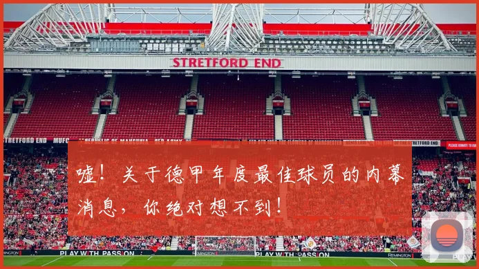 嘘！关于德甲年度最佳球员的内幕消息，你绝对想不到！