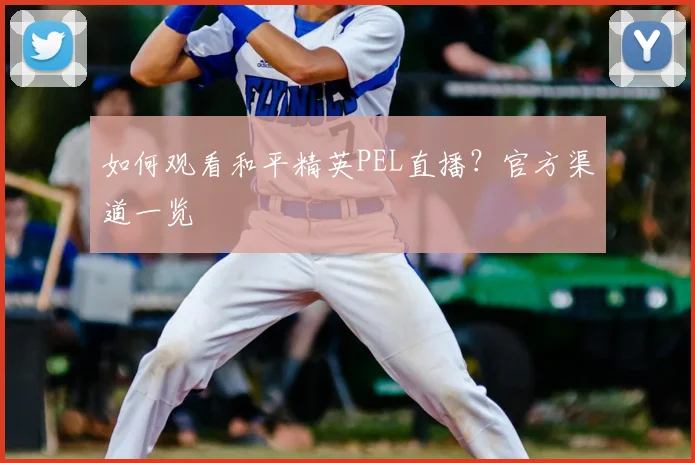 如何观看和平精英PEL直播?官方渠道一览
