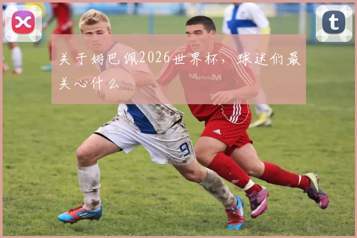 关于姆巴佩2026世界杯，球迷们最关心什么