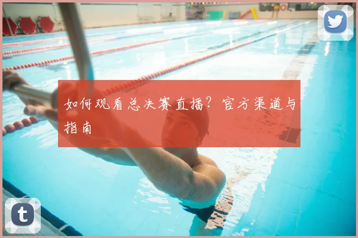 如何观看总决赛直播?官方渠道与指南