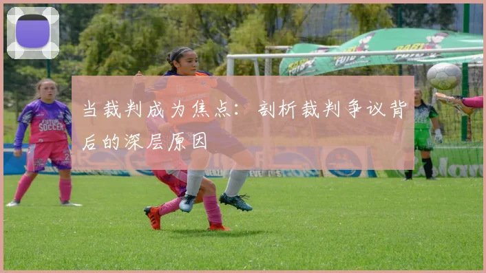 当裁判成为焦点：剖析裁判争议背后的深层原因
